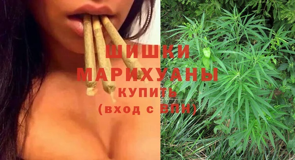 скорость Вяземский