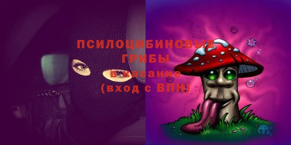 прущие грибы Кулебаки