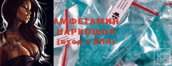 прущие грибы Кулебаки
