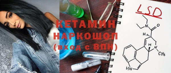 прущие грибы Кулебаки