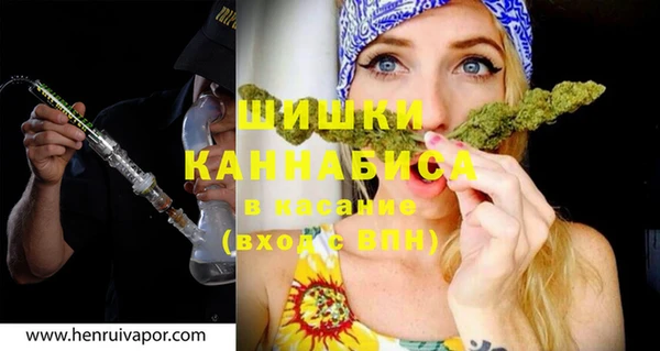 твердый Мегион