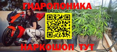 гидропоника Бийск