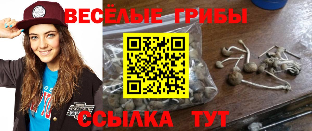 Бошки Шишки Кострома