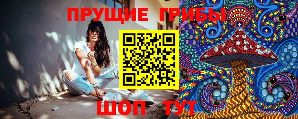 где найти наркотики  Псилоцибиновые грибы Psilocybine cubensis  Кострома  Галлюциногенные грибы MAGIC MUSHROOMS 