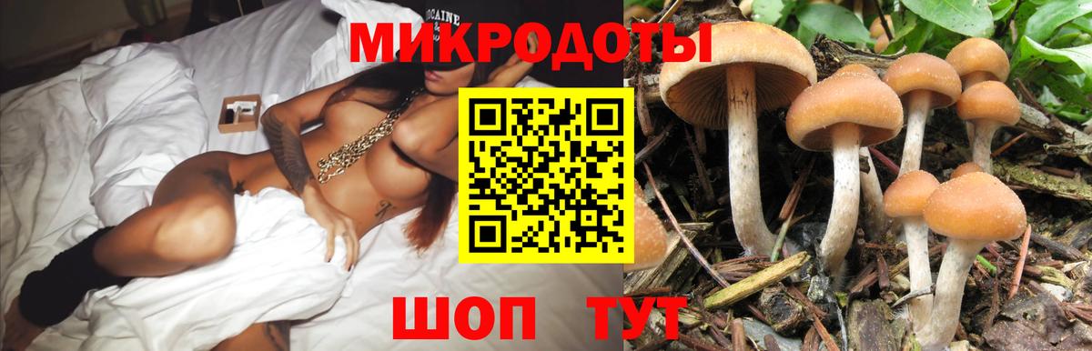 Галлюциногенные грибы мицелий Кострома